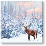  Slike na platnu ŽIVOTINJE_053-12 (moderne slike na platnu) | ePonuda.com