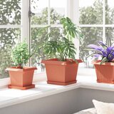  Kvadratna posuda za cvijeće 24 pcs Crvena cigla 18 x 18 x 2 cm | shoptok.hr