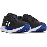 Under Armour Men's shoes Charged Assert 10 | Shoptok.si