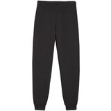 Puma Hlače Team Goal Črna | Shoptok.si