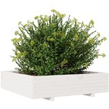  Vrtno cvetlično korito belo 100x100x26,5 cm trdna borovina | Shoptok.si