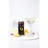 Kmetija Vizjak CHILLINō spritz komplet 69 | Shoptok.si
