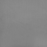  kavč dvosed z ležiščem z blazinami, žamet, svetlo siva, 220x84,5x69 cm | Shoptok.si