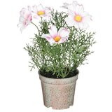  Umjetna biljka Ivančica (Vanjska dimenzija (ø x V): 13 x 21,5 cm, Plastika, Ružičasta) | shoptok.hr