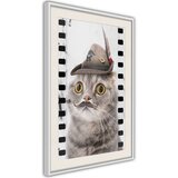  Poster - Dressed Up Cat 20x30 | shoptok.hr