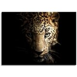 Styler Steklena slika Styler Leopard, 70 x 100 cm Cene
