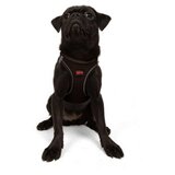 Paws & Whiskers Am za pse Air Mesh Brown S | Eponuda.com