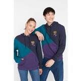 Trendyol Multicolor Unisex Hooded Embroidery Detailed Regular Fit Sweatshirt | Shoptok.si