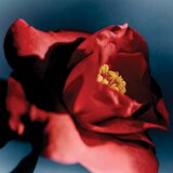 Atelier Cologne Camélia Intrépide parfemska voda uniseks 100 ml | shoptok.hr