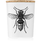 Vila Hermanos Insect Calabrone mirisna svijeća 75 g Cijene