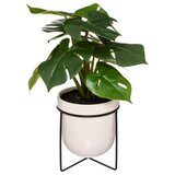  UMJETNA BILJKA MONSTERA U POSUDI ATMOSPHERA Cijene