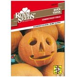  Tikva Naranđasta Royal Seeds | Eponuda.ba