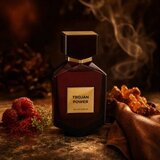 Camara Trojan Power parfumirana voda za moške 100 ml | Shoptok.si