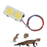 TIMMLUX Močen ultrazvočni odganjalec kun za avto z dvema zvočnikoma 12V + 3xLED | Shoptok.si
