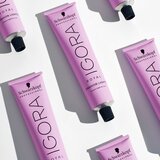 Schwarzkopf Professional IGORA Royal Fashion Lights posvjetljujuća krema za kosu nijansa L-24 60 ml | shoptok.hr