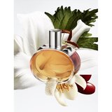Hermès Barénia Pleine Fleur Eau de Parfum parfumska voda za ženske 30 ml | Shoptok.si