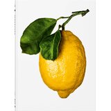 Taschen The Gourmand - The Gourmand's Lemon: A Collection of Stories and Recipes Cene