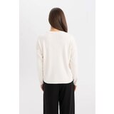 Defacto Regular Fit Crew Neck Sweater | shoptok.hr