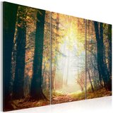  Slika - Beauty of autumn - triptych 60x40 Cijene