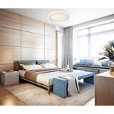 Globo stropna led-svetilka | Shoptok.si