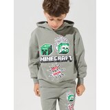 Sinsay Dukserica s kapuljačom s printom Minecraft | shoptok.hr