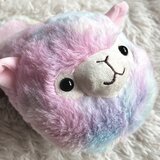  Sobne papuče Lama Rainbow, 24,5 cm | Eponuda.com