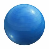 Lopta za pilates (55 cm / Plava) cene