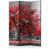  Paravan u 3 dijela - Autumn in the Park [Room Dividers] 135x172 Cijene