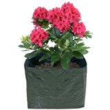 Garden Pleasure Podignuti krevet - | shoptok.hr