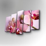 Wallity 5PUC-066 multicolor decorative canvas painting (5 pieces)