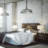  Delilec 2× euro + 1× schuko | Shoptok.si