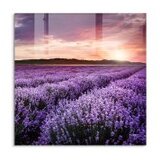 WALLXPERT dekorativna slika 1323 k (60 x 60) Cene
