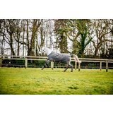 Horseware Ireland Amigo Hero Ripstop Lite Shadow / Rose & Navy - 90 cm Cene