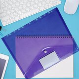 INF Žepki za registrator A4 z 11 luknjami. Kuverta za registratorje, 12 kom Transparent, (21263158) Cene