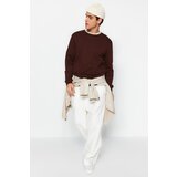 Trendyol Brown Men's Regular/Regular Cut Sweatshirt with Text and Embroidery 100% Cotton Cene