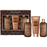 Baylis & Harding Black Pepper & Ginseng poklon set za tijelo i lice Cijene
