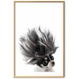  Plakat - Chihuahua 60x90 Zlatni okvir s margom | shoptok.hr