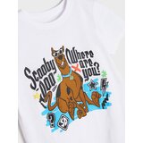 Sinsay majica kratkih rukava Scooby-Doo za dječake 244AE-00X | shoptok.hr