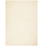 Maison Chic Preproga, Rug s kratkimi vlakni mehka pralna krem 120x170 cm, (22121595) | Shoptok.si