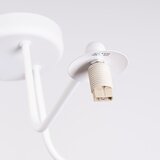 Nice Lamps Bela stropna svetilka Beam – | Shoptok.si