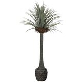  Umjetna juka 180 cm | shoptok.hr