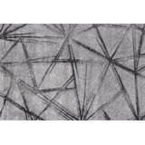  Tepih Vegas Home 120x170 cm 22GSG | shoptok.hr