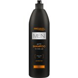 Prosalon Šampon za kosu za svakodnevnu upotrebu MEN HAIR CARE 1000g Cijene