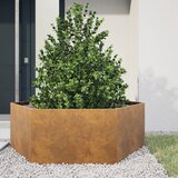 vidaXL Vrtno korito šestkotnik 138x120x45 cm corten jeklo Cene