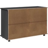 Mobilni ormar Siva 100 x 39 x 65 5 cm Čvrsto borovo drvo - Siva | shoptok.hr