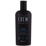American Crew Detox razstrupljevalni šampon 250 ml za moške Cene