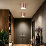  Immax NEO 07320L - LED prigušiva plafonska svetiljka RONDATE 32W/230V 16,5 cm Wi-Fi Tuya ružičasta | Eponuda.com