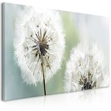  Slika - Fluffy Dandelions (1 Part) Green Wide 100x45 Cijene