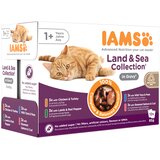  36 + 12 gratis! 48 x 85 g IAMS mokra mačja hrana - Delights Adult Land & Sea Mix - v omaki | shoptok.hr