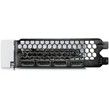 Palit nvidia geforce rtx 5060 8GB 128bit RTX5060 white oc 8GB grafička karta | Eponuda.com
